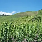 Romantischer Aufenthalt Mit Blick Auf Den Weinberg Apartman *