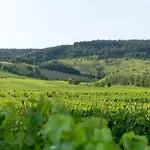 Romantischer Aufenthalt Mit Blick Auf Den Weinberg Апартаменты *