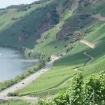 Romantischer Aufenthalt Mit Blick Auf Den Weinberg * Kinheim