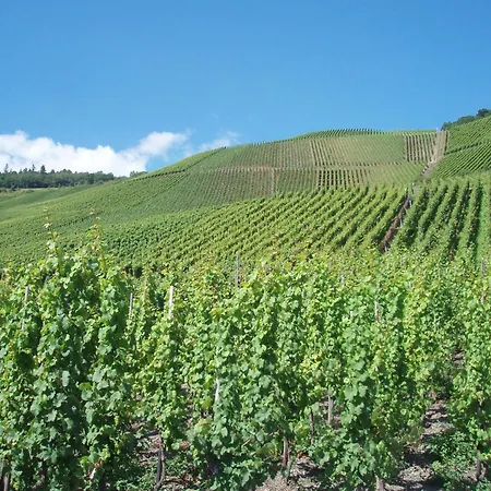 Romantischer Aufenthalt Mit Blick Auf Den Weinberg アパート *