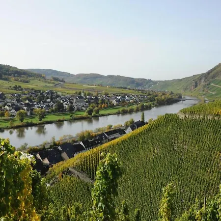 Romantischer Aufenthalt Mit Blick Auf Den Weinberg アパート Kinheim