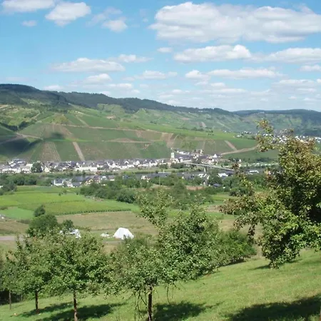 Vineyard View Romantic Apartment Kinheim