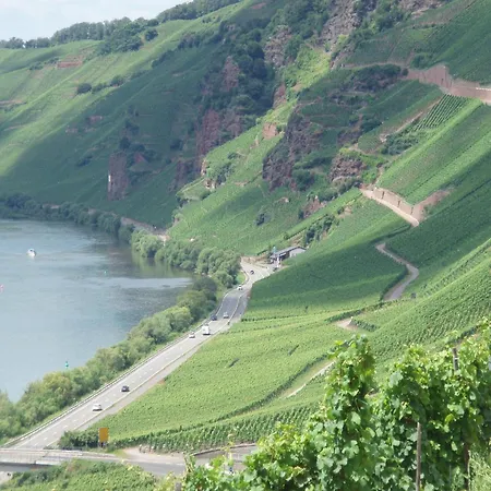 Romantischer Aufenthalt Mit Blick Auf Den Weinberg