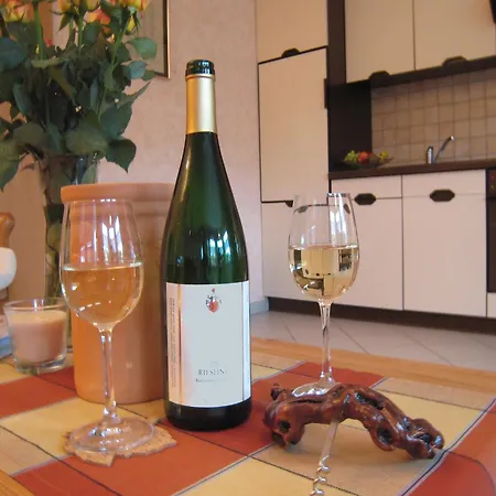 Vineyard View Romantic Apartment Kinheim