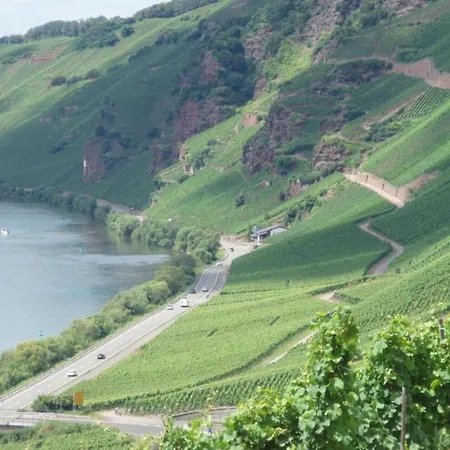 Romantischer Aufenthalt Mit Blick Auf Den Weinberg * Kinheim