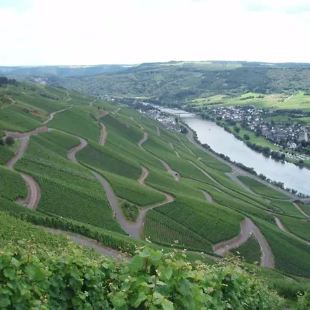 Romantischer Aufenthalt Mit Blick Auf Den Weinberg *