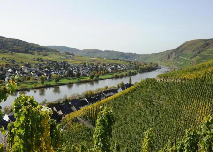 Romantischer Aufenthalt Mit Blick Auf Den Weinberg Appartement Kinheim