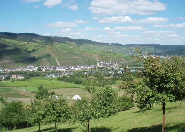 Romantischer Aufenthalt Mit Blick Auf Den Weinberg Apartamento Kinheim