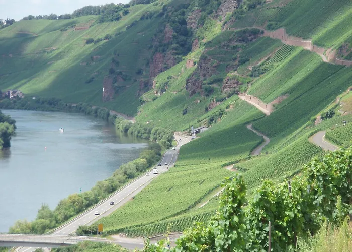 Romantischer Aufenthalt Mit Blick Auf Den Weinberg