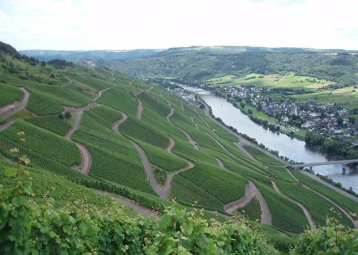 Appartement Romantischer Aufenthalt Mit Blick Auf Den Weinberg *
