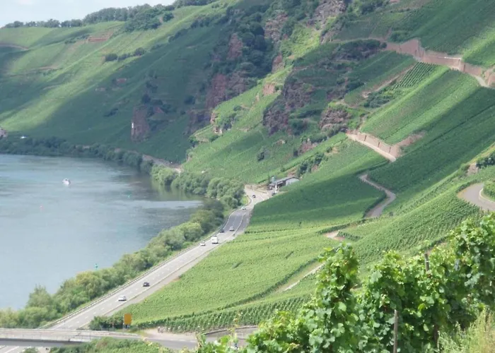 Romantischer Aufenthalt Mit Blick Auf Den Weinberg * Kinheim