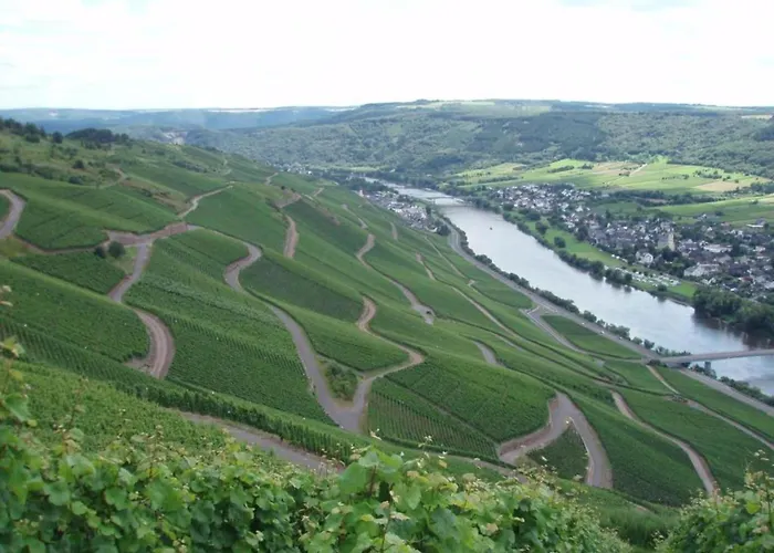 Romantischer Aufenthalt Mit Blick Auf Den Weinberg *